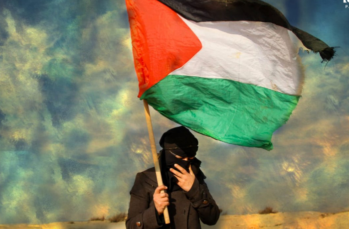 ssha-ne-khotyat-chtoby-velikobritaniya-i-frantsiya-priznali-palestinu