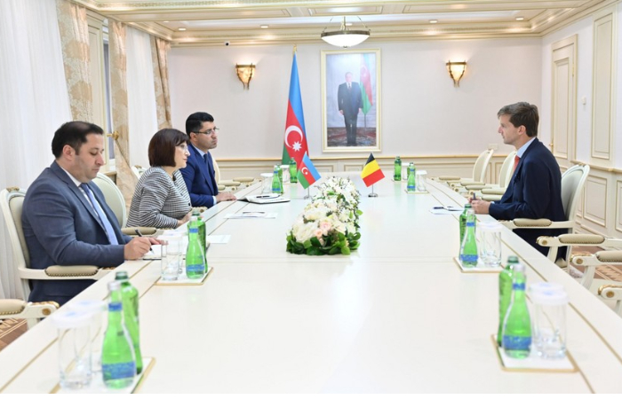 posol-belgii-my-vidim-bolshoy-potentsial-dlya-razvitiya-otnosheniy-s-azerbaydzhanom