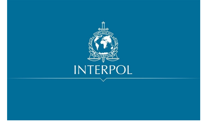 interpol-20-chelovek-v-12-stranakh-arestovany-po-delu-o-seksualnoy-ekspluatatsii-detey