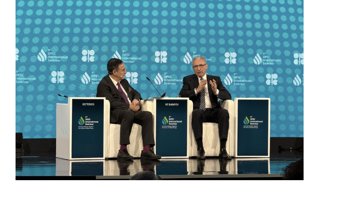 mukhtar-babaev-i-kandidat-na-post-prezidenta-cop30-proveli-obsuzhdeniya-na-seminare-opek
