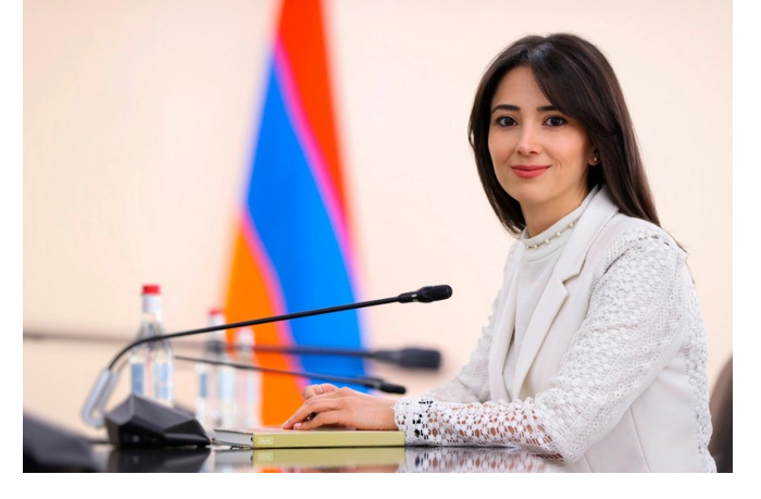 mid-armenii-nazval-uspeshnoy-vstrechu-alieva-i-pashinyana-v-abu-dabi