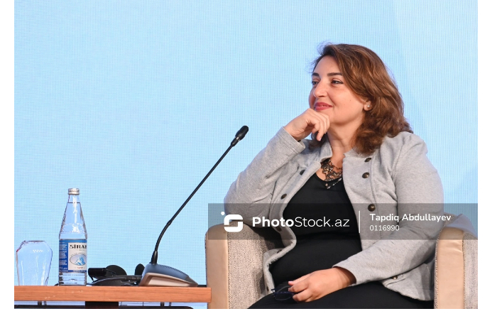 shafag-mekhralieva-mediagramotnost-vklyuchaet-sposobnost-kriticheski-otsenivat-informatsiyu
