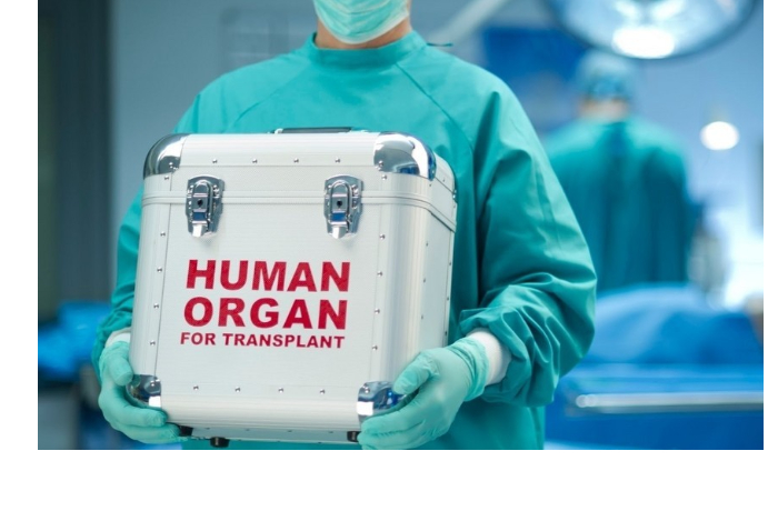 s-nachala-goda-v-azerbaydzhane-provedeny-88-uspeshnykh-operatsiy-po-transplantatsii-organov