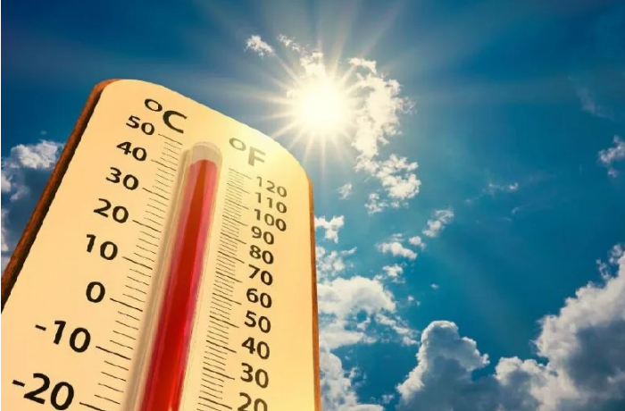anomalnaya-zhara-v-skandinavii-temperatura-prevyshaet-30-gradusov