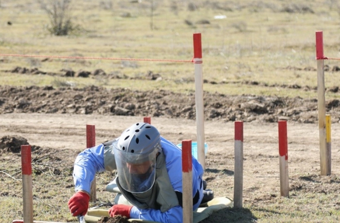 anama-na-minuvshey-nedele-ot-min-ochishchena-territoriya-ploshchadyu-bolee-875-ga