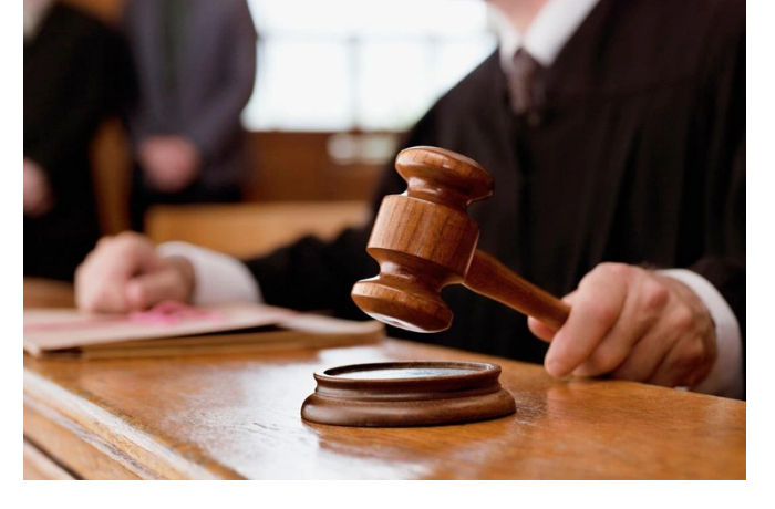 snyavshie-neetichnoe-video-na-allee-shekhidov-turisty-podali-apellyatsiyu