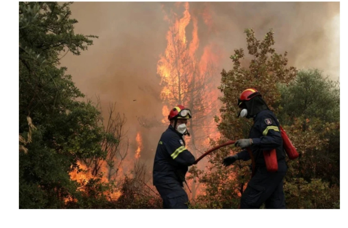 ushcherb-ot-prirodnykh-katastrof-v-2025-godu-snizilis-na-40