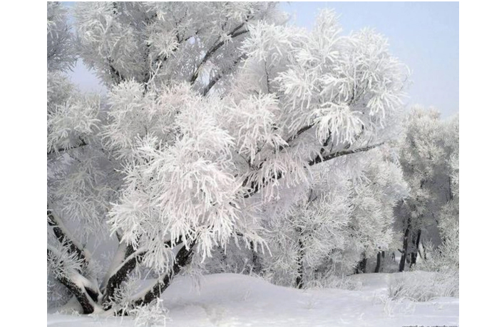 prognoz-pogody-v-azerbaydzhane-na-15012026