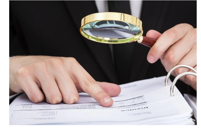 v-schetnoy-palate-sozdaetsya-informatsionnaya-sistema-gosudarstvennogo-audita