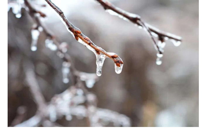 v-baku-nochyu-budet-moroz