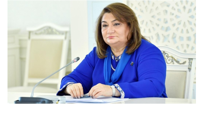 khidzhran-guseynova-zakony-dolzhny-byt-usovershenstvovany-dlya-obespecheniya-gendernogo-ravenstva