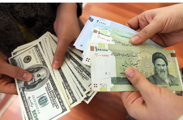 krysy-begut-s-korablya