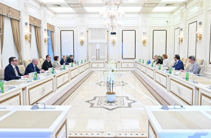 sakhiba-gafarova-i-zamestitel-genseka-nato-obsudili-razvitie-partnerstva