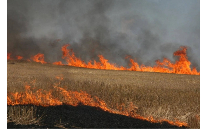 prezident-azerbaydzhana-utverdil-novye-shtrafy-za-podzhog-pakhotnykh-zemel