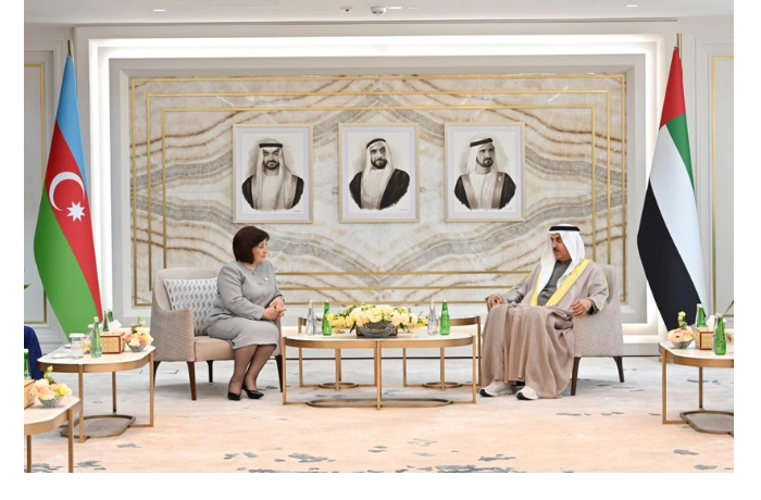 sakhiba-gafarova-vstretilas-s-predsedatelem-federalnogo-natsionalnogo-soveta-oae