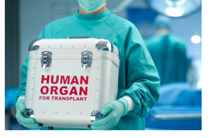 v-azerbaydzhane-v-2025-godu-organy-10-posmertnykh-donorov-byli-ispolzovany-dlya-transplantatsii