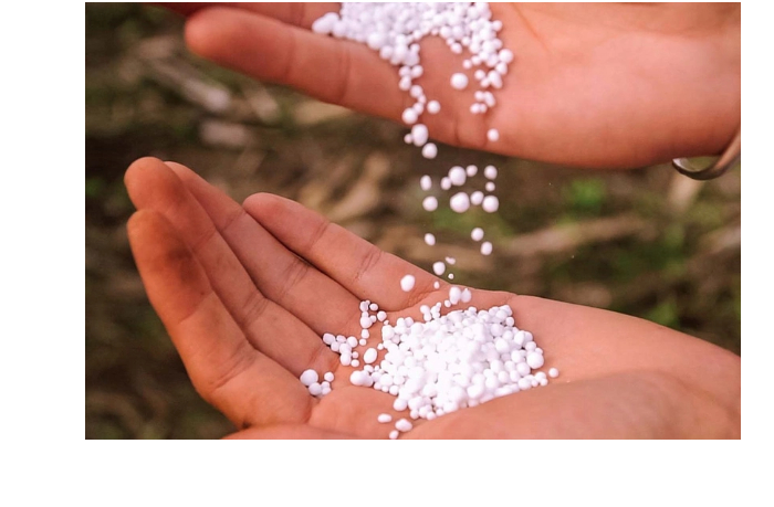 stoimost-eksportirovannykh-azerbaydzhanom-azotnykh-udobreniy-vyrosla-bolee-chem-na-35