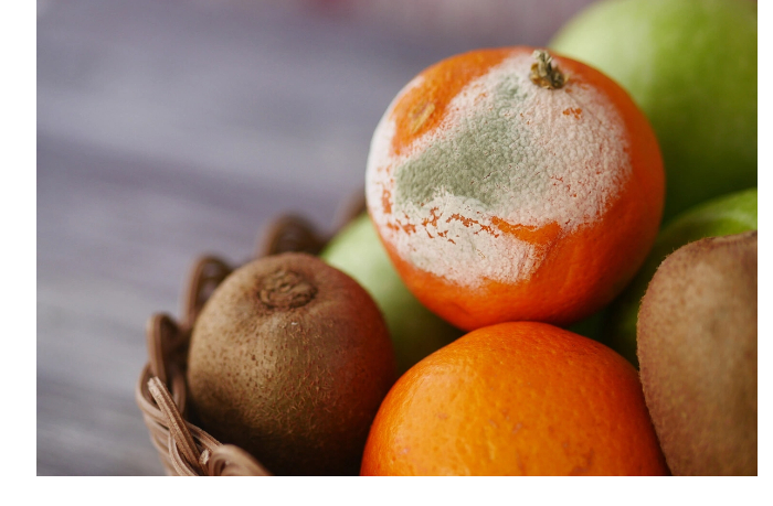 nazvana-oshibka-vedushchaya-k-bystroy-porche-fruktov-i-ovoshchey