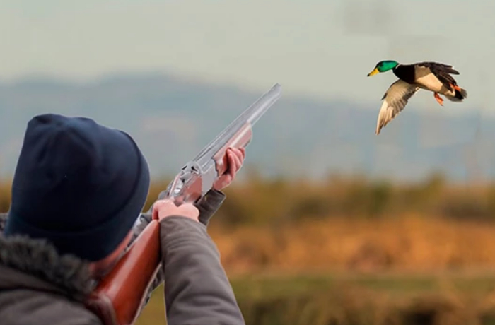 prodlen-sezon-okhoty