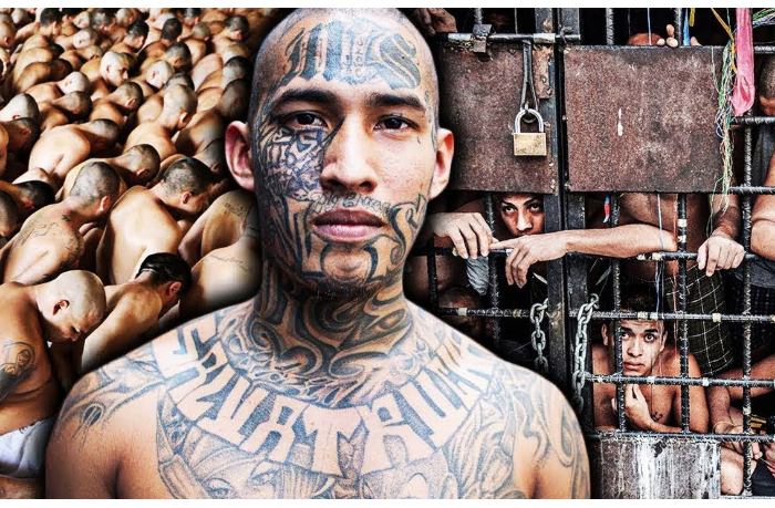 udar-po-narkokartelyam-ekvadora