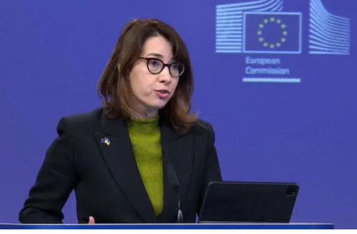 anitta-khipper-strany-yes-vprave-provodit-inspektsii-rossiyskikh-sudov