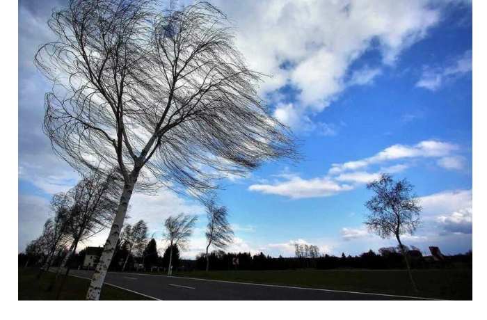 sinoptiki-preduprezhdayut-zavtra-v-baku-i-regionakh-ozhidaetsya-silnyy-veter