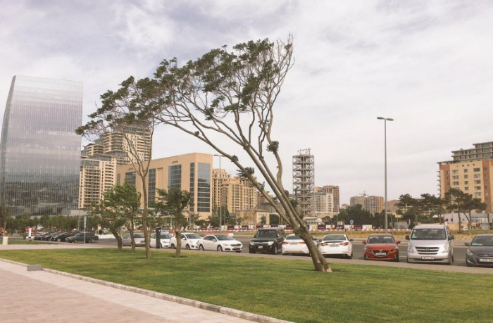 obyavlen-zheltyy-uroven-opasnosti