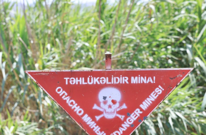 anama-v-sentyabre-ot-min-ochishcheno-bolee-6-tys-ga-osvobozhdennykh-territoriy