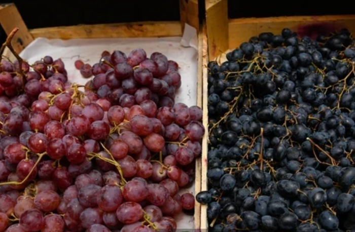 stoit-li-opasatsya-neobychnogo-vinograda-v-azerbaydzhane