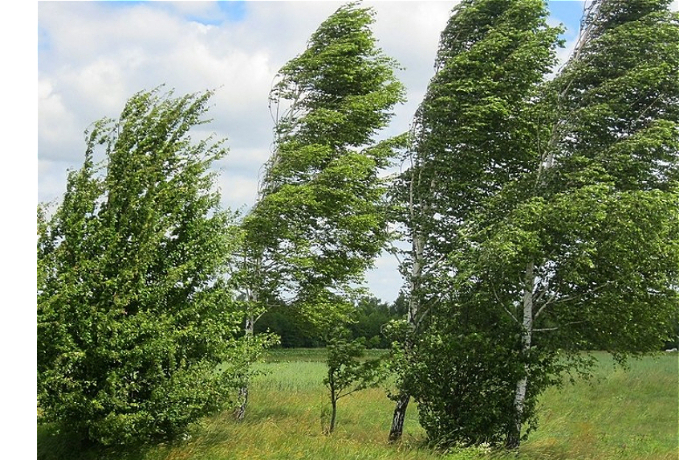 skolko-dney-prodlitsya-vetrenaya-pogoda-foto