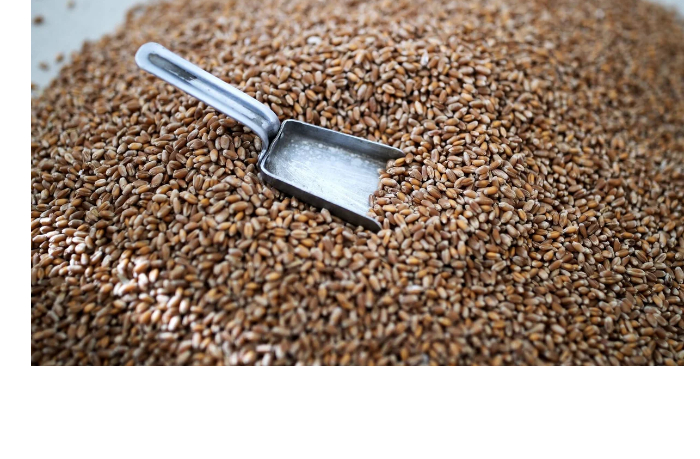 azerbaydzhan-uvelichil-import-pshenitsy-iz-rossii-pochti-v-4-raza