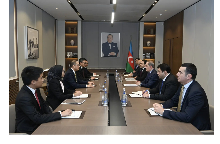 azerbaydzhan-i-indoneziya-obsudili-podgotovku-k-bakinskomu-sammitu-ois