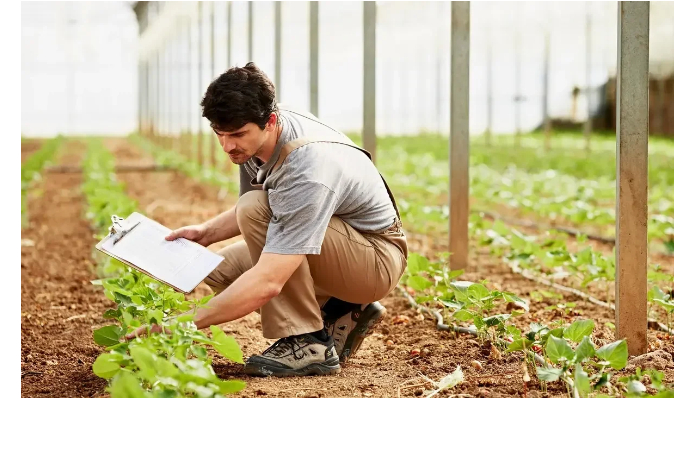agronomy-sadovody-i-veterinary-iz-za-rubezha-smogut-poluchit-dolgosrochnoe-razreshenie-na-prozhivanie-v-azerbaydzhane