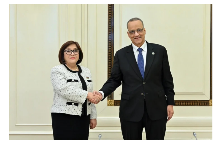 v-ois-nazvali-azerbaydzhan-primerom-sokhraneniya-mira-i-stabilnosti
