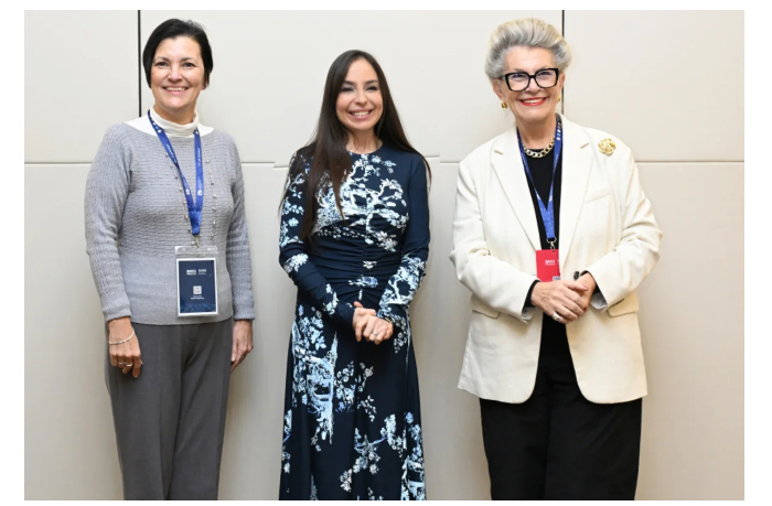 leyla-alieva-vstretilas-s-zamestitelem-gendirektora-yunesko