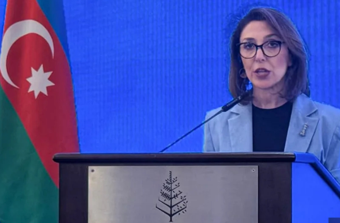 nargiz-gurbanova-azerbaydzhano-germanskiy-delovoy-sovet-otkroet-novye-investitsionnye-vozmozhnosti