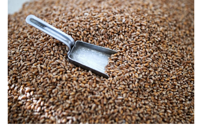 azerbaydzhan-uvelichil-import-pshenitsy-na-50