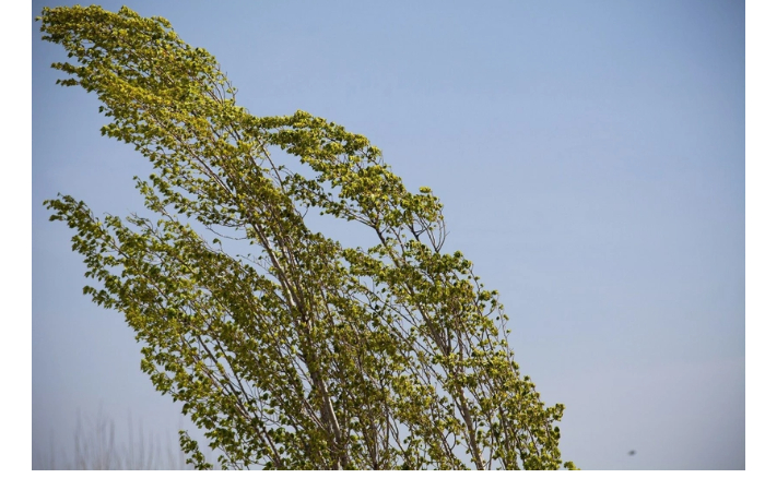 zavtra-v-baku-i-na-absherone-usilitsya-veter