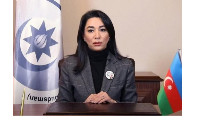 ombudsmen-azerbaydzhana-obratilas-k-gosorganam-iz-za-ugrozy-elektroskuterov-dlya-detey