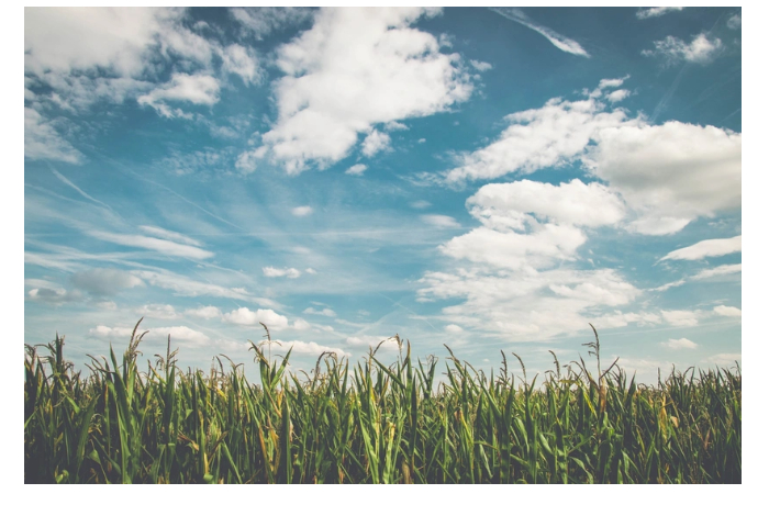 nazvana-prichina-teploy-pogody-v-azerbaydzhane-v-fevrale