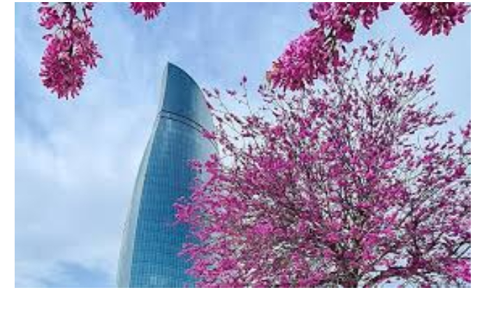 prognoz-pogody-v-azerbaydzhane-na-19022026