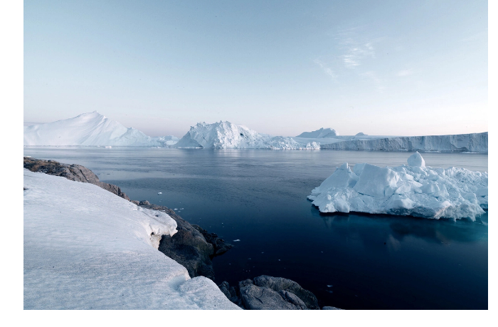 v-antarktide-vpervye-zamechena-akula