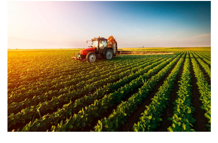 agrarnyy-sektor-v-azerbaydzhane-neznachitelno-vyros