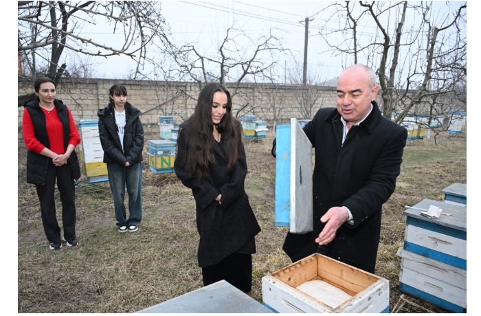 vitse-prezident-fonda-geydara-alieva-leyla-alieva-pobyvala-v-gostyakh-u-semi-pchelovoda-v-gube-foto