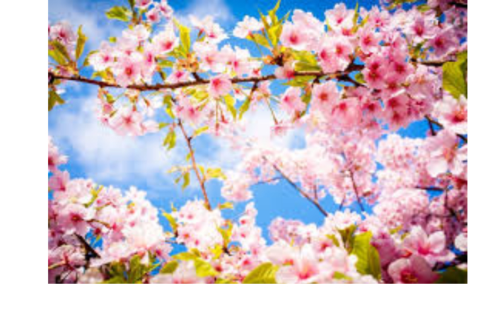 v-marte-temperatura-vozdukha-prevysit-klimaticheskuyu-normu