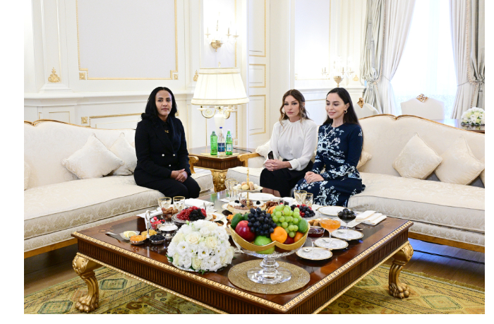 sostoyalas-vstrecha-pervykh-ledi-azerbaydzhana-i-efiopii