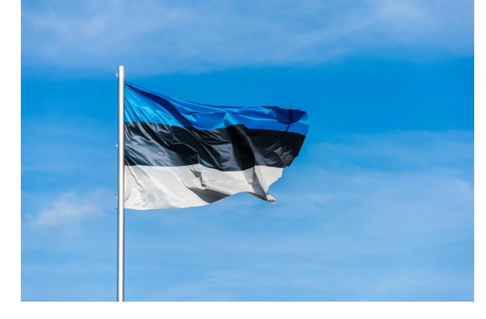 estoniya-rassmatrivaet-dopolnitelnyy-vklad-v-purl-dlya-postavok-oruzhiya-ukraine