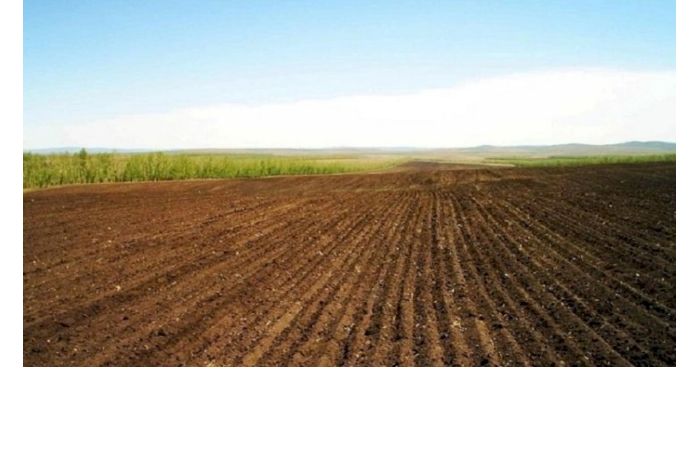 otmeneny-nezakonnye-munitsipalnye-resheniya-v-svyazi-s-bolee-chem-3-000-ga-zemli