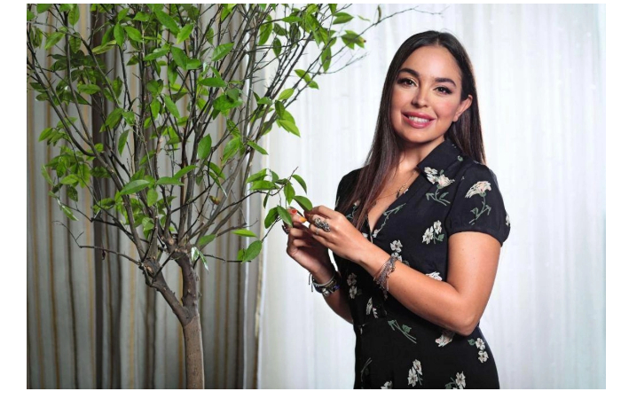 leyla-alieva-posetila-galereyu-qiz-qalasi