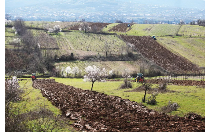 v-gruzii-budet-prinuditelno-izyato-imushchestvo-neskolkikh-azerbaydzhantsev